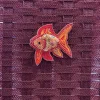 Antoine et Lili Broche Animal Fantaisie Discount
