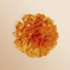 Antoine et Lili Broche Fleur Outlet