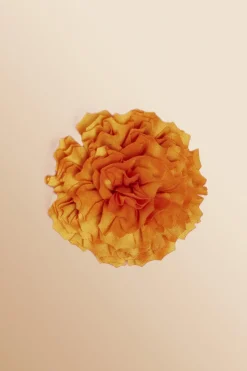 Antoine et Lili Broche Fleur Outlet