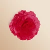 Antoine et Lili Broche Fleur Fashion