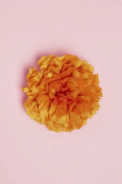 Antoine et Lili Broche Fleur Outlet