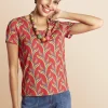 Antoine et Lili T-shirt Mc Zebra Maille Best